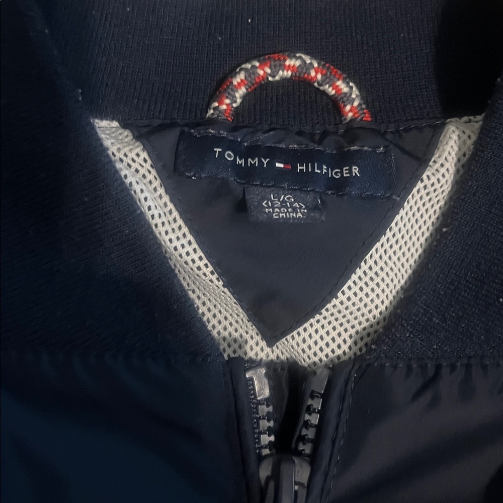 Tommy Hilfiger Tricolor Windbreaker for Men - Picture 2 of 4